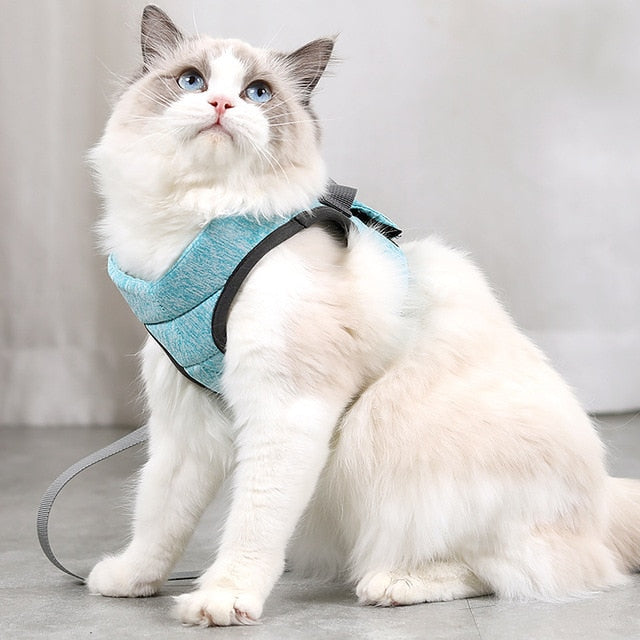 Pet Anti-Escape Harness leash Set Breathable Soft Vest