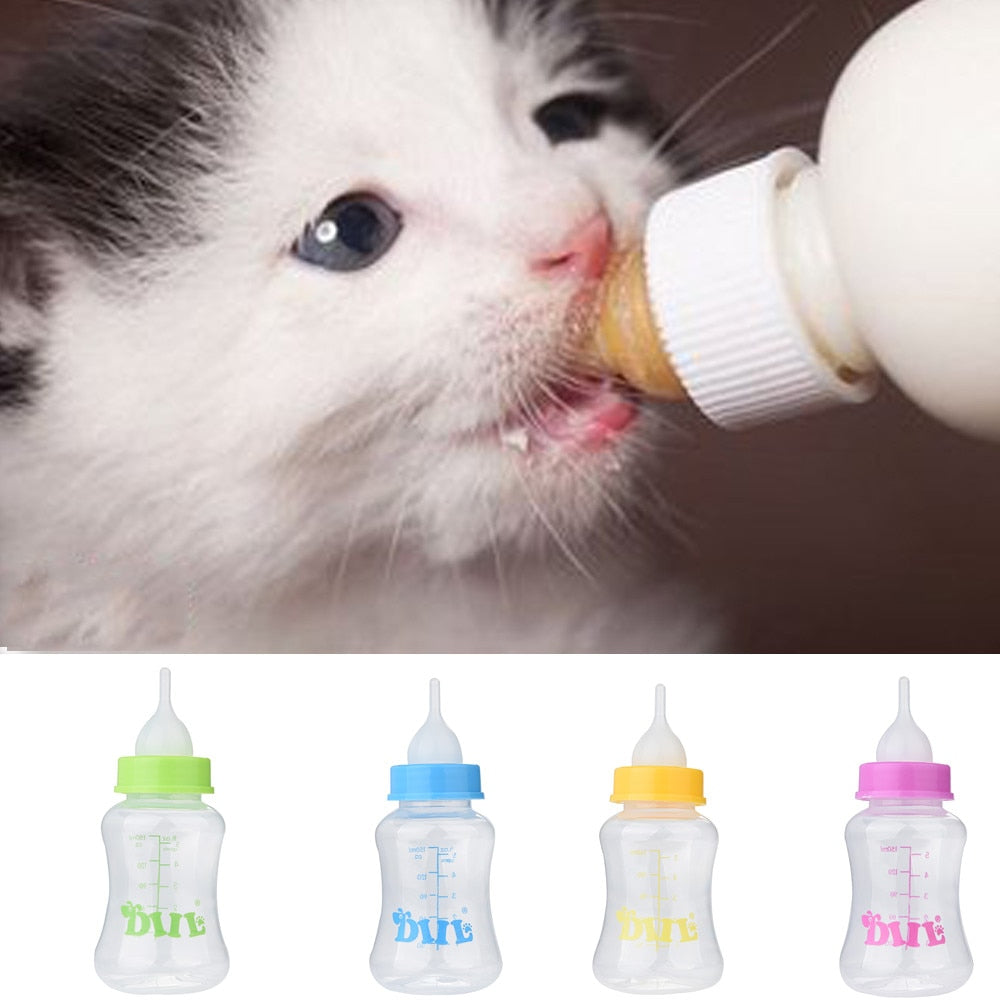 Kitten Baby Animal Feeding Bottle Nursing Set