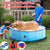 Foldable Pet Swimming Pool