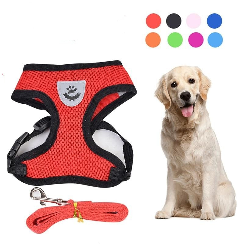 Leash Training Soft Mesh Chest Strap Supplies